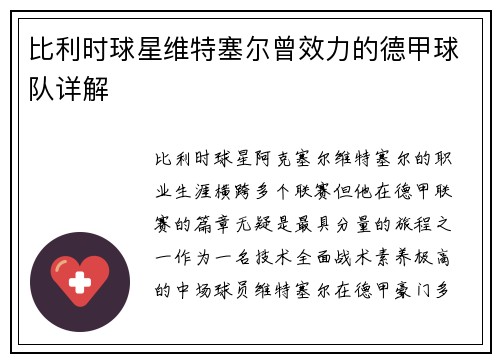 比利时球星维特塞尔曾效力的德甲球队详解